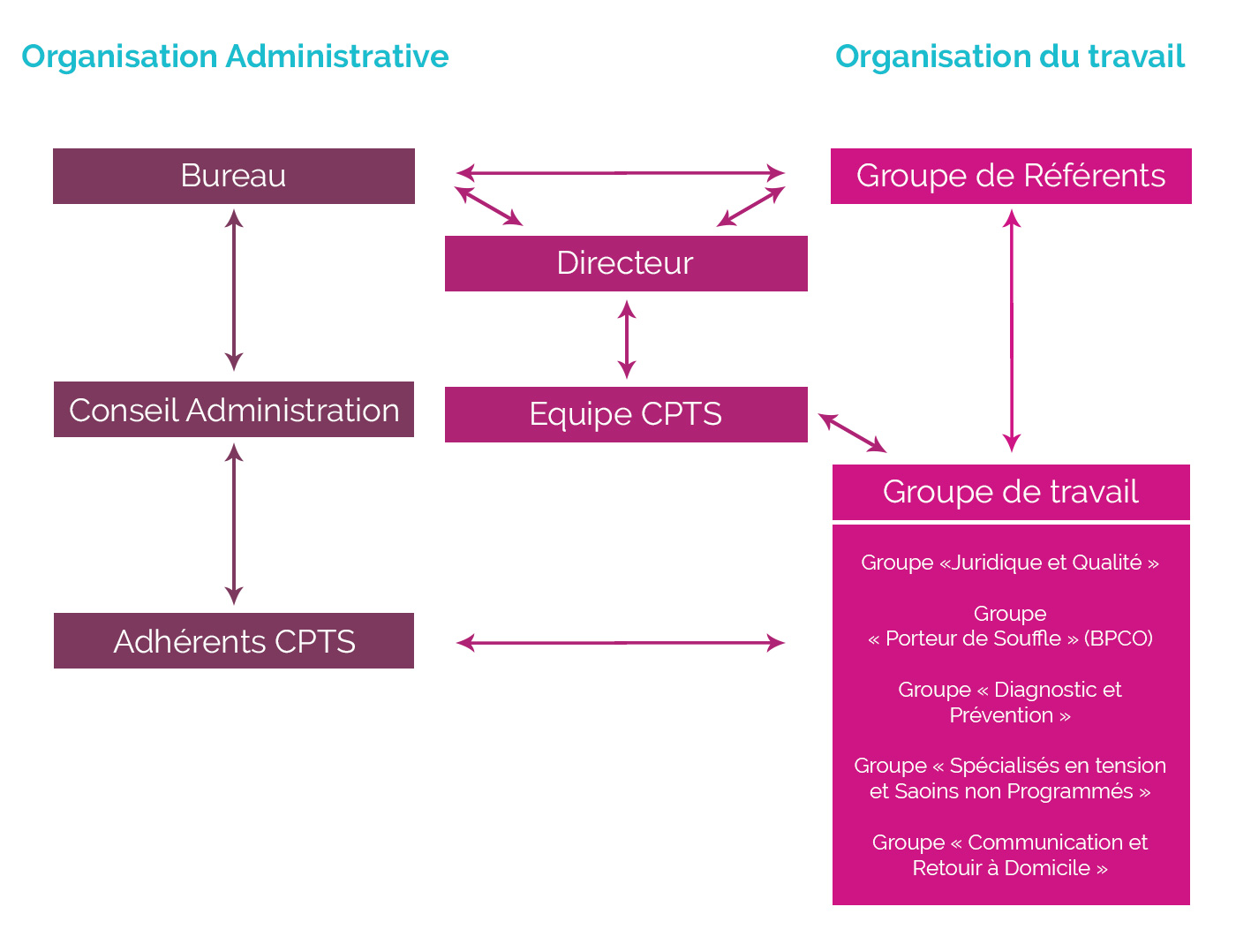 Organigramme